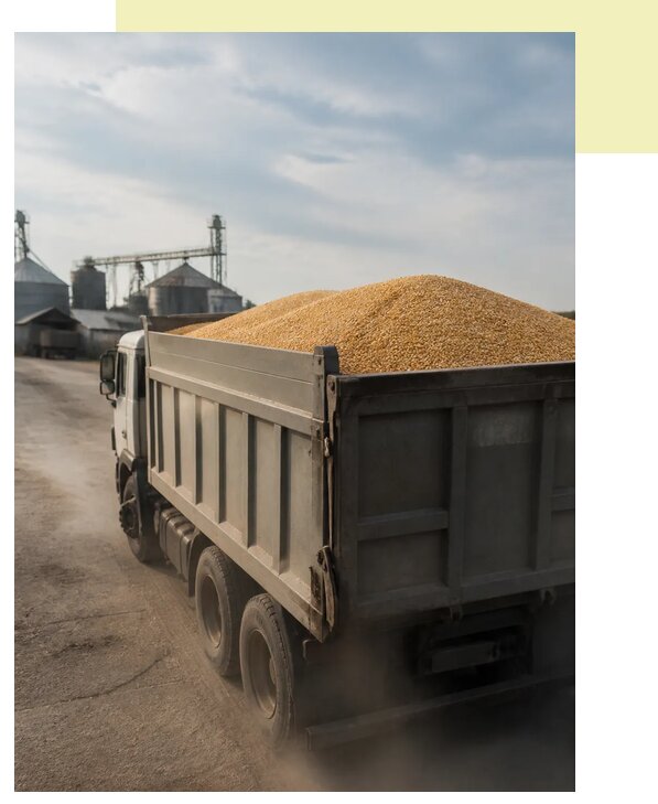 Перевозка сельхозпродукции навалом в Смоленск по цене от 3077 р. | Агросервис-Смл