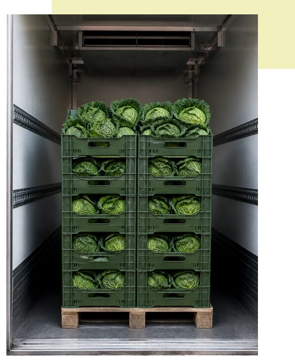 Перевозка савойской капусты в Смоленск по цене от 5640 р. | Агросервис-Смл